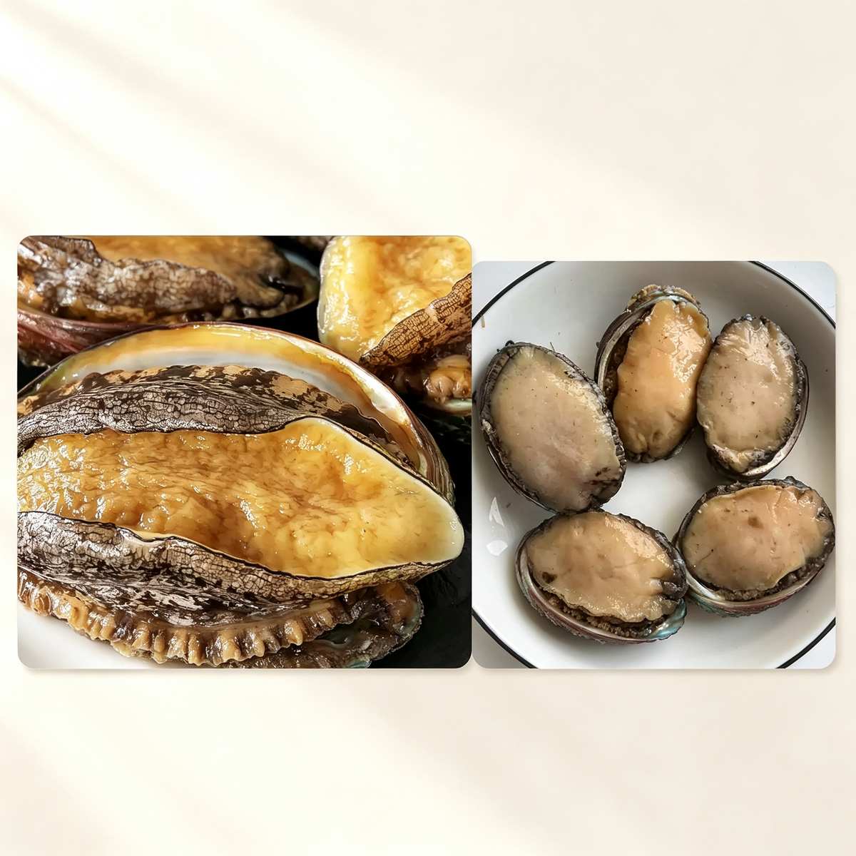 Frozen Raw Large Abalone